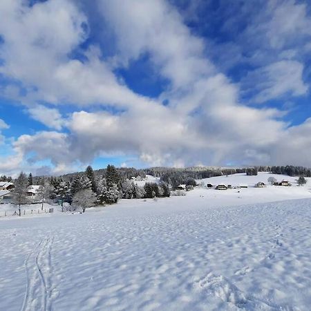 Gemuetliche Ferienwohnung Fuer 4 Gaeste In Schoenwald Schönwalde Exterior foto